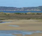 Dunes et prés salés de l'Aber