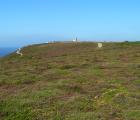Landes du Cap de la Chèvre