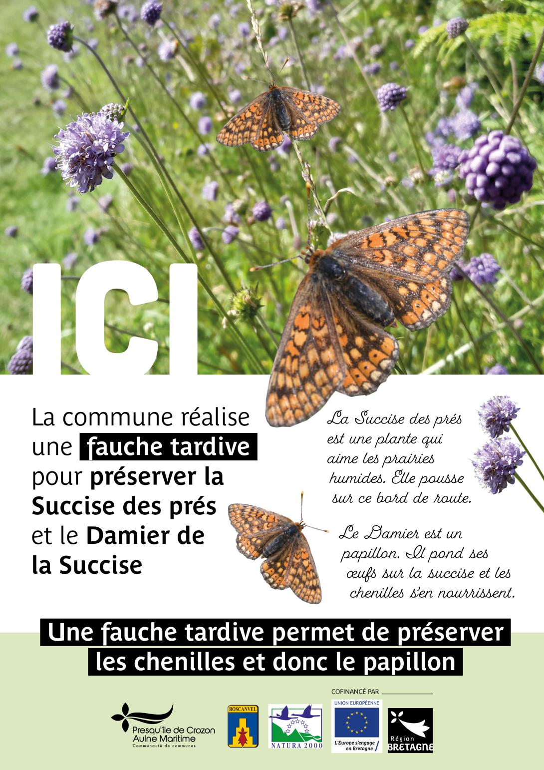 Panneau expliquant pourquoi la fauche tardive protège le Damier de la Succise