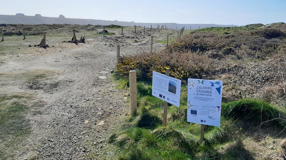 Travaux de protection de la végétation au Toulinguet