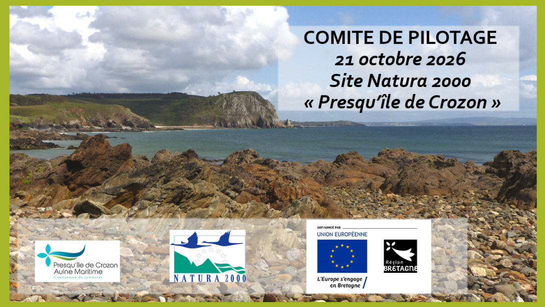 Diapo de présentation lors du comité de pilotage